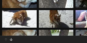 �������^��js���Դ��a