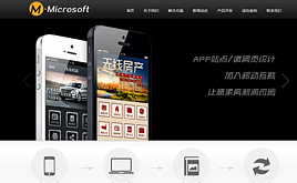 ����ܛ���_�l(f��)/�W(w��ng)�j(lu��)��˾�W(w��ng)վģ�壨���H����