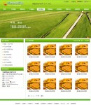 �ɹ�����