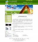 ��(n��i)��չʾ