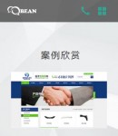 手機(jī)版案例欣賞