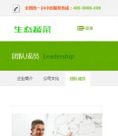 手機(jī)團(tuán)隊(duì)成員