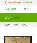 手機(jī)企業(yè)榮譽(yù)