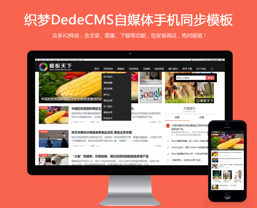 模板內(nèi)容頁(yè)圖片介紹