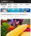 m文章內(nèi)容頁(yè)