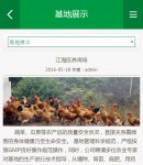 手機(jī)基地詳情頁