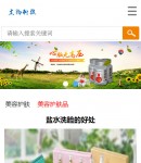 手機產(chǎn)品內(nèi)容頁