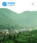 手機(jī)集團(tuán)產(chǎn)業(yè)