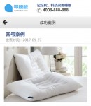 手機(jī)案例內(nèi)容頁(yè)