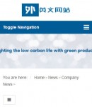 手機(jī)新聞內(nèi)容頁