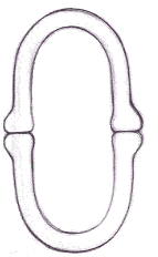 Flash教程:卡通人物基本五官造型和繪制方法,PS教程,思緣教程網(wǎng)