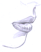 Flash教程:卡通人物基本五官造型和繪制方法,PS教程,思緣教程網(wǎng)