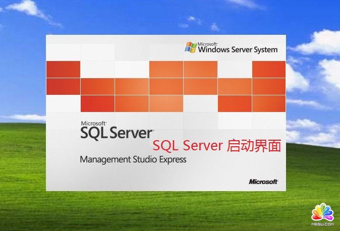MS SQL Server Management Studio Express��ô���b��